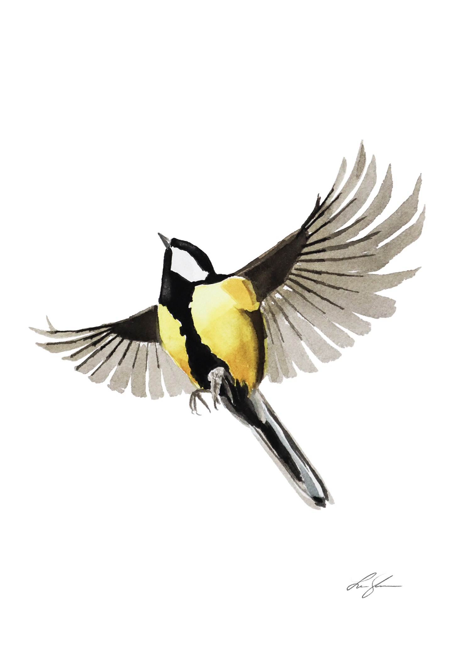 "Great tit 1" fine art print