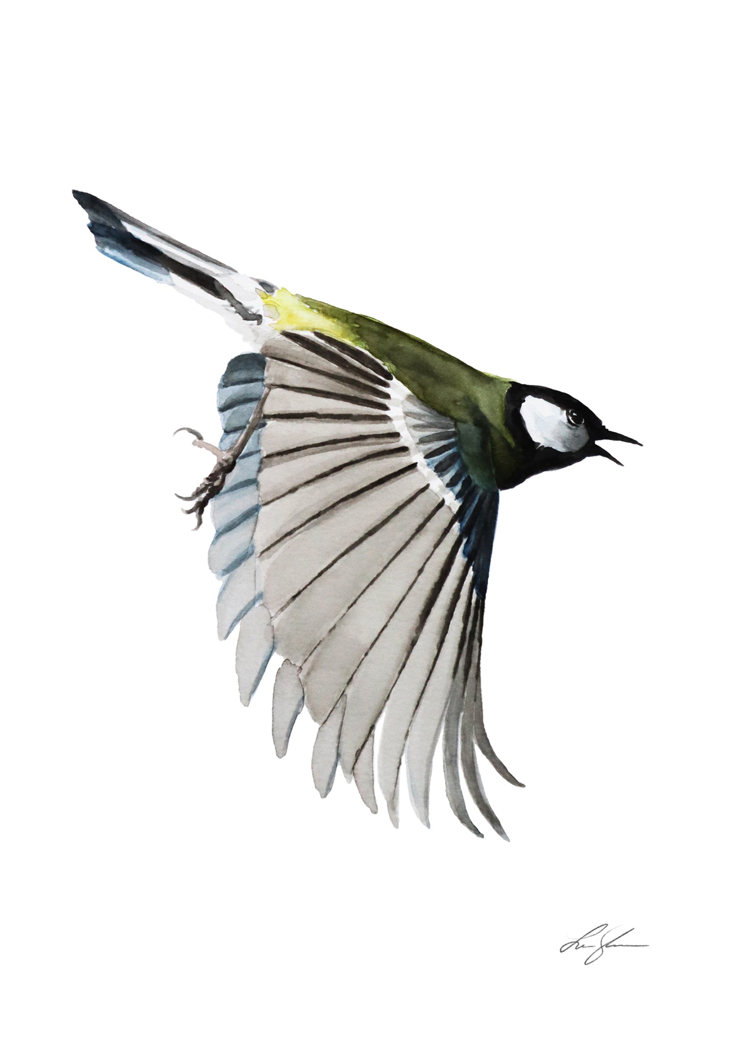 "Great tit 2" fine art print