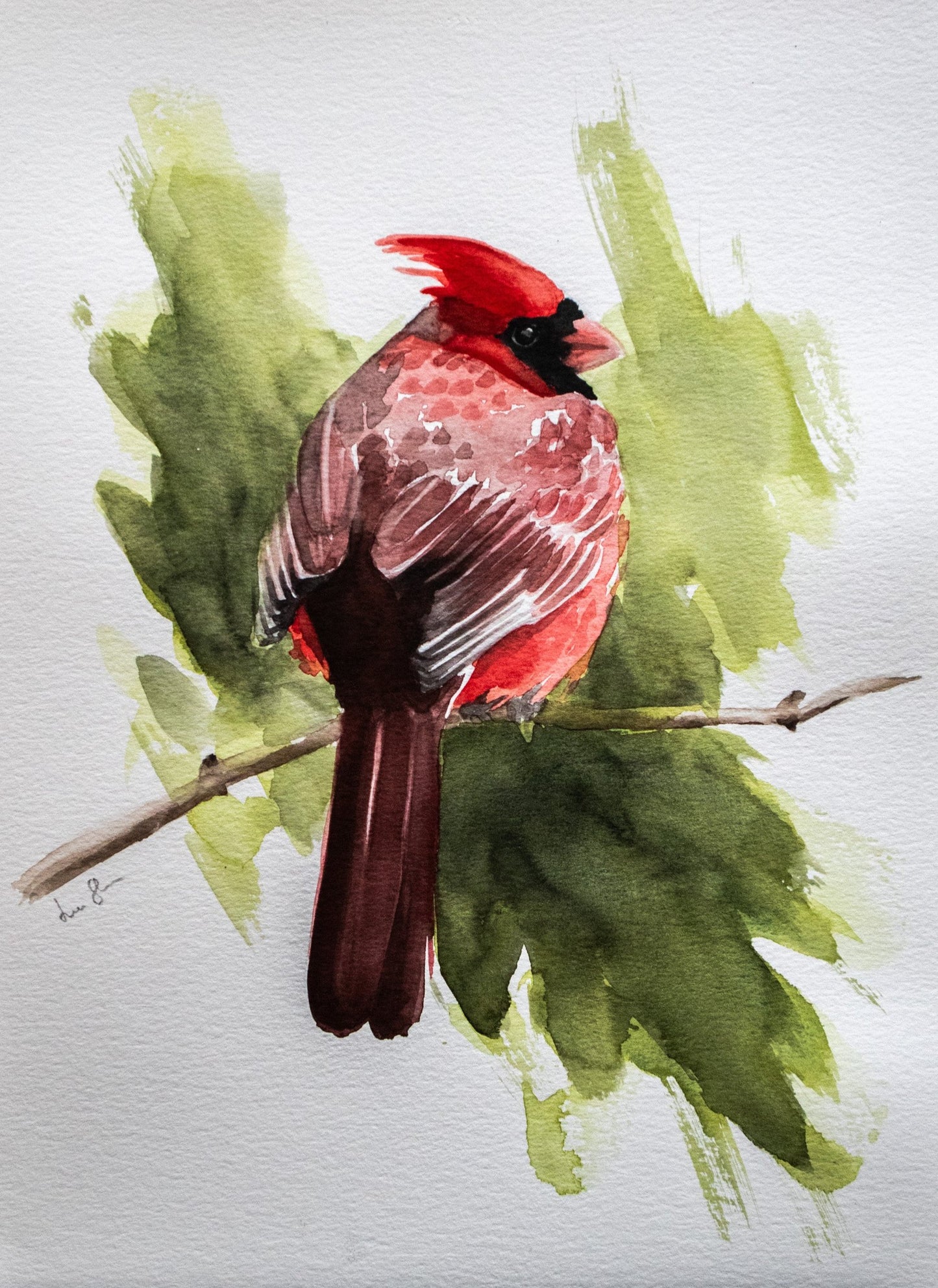 "Cardinal" original watercolor painting 21x30cm
