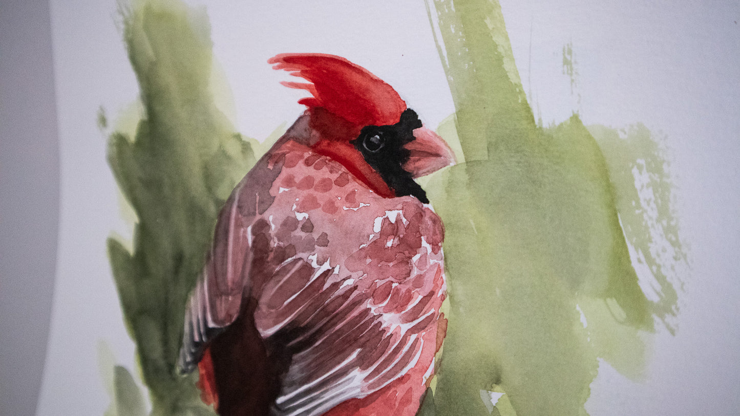 "Cardinal" original watercolor painting 21x30cm
