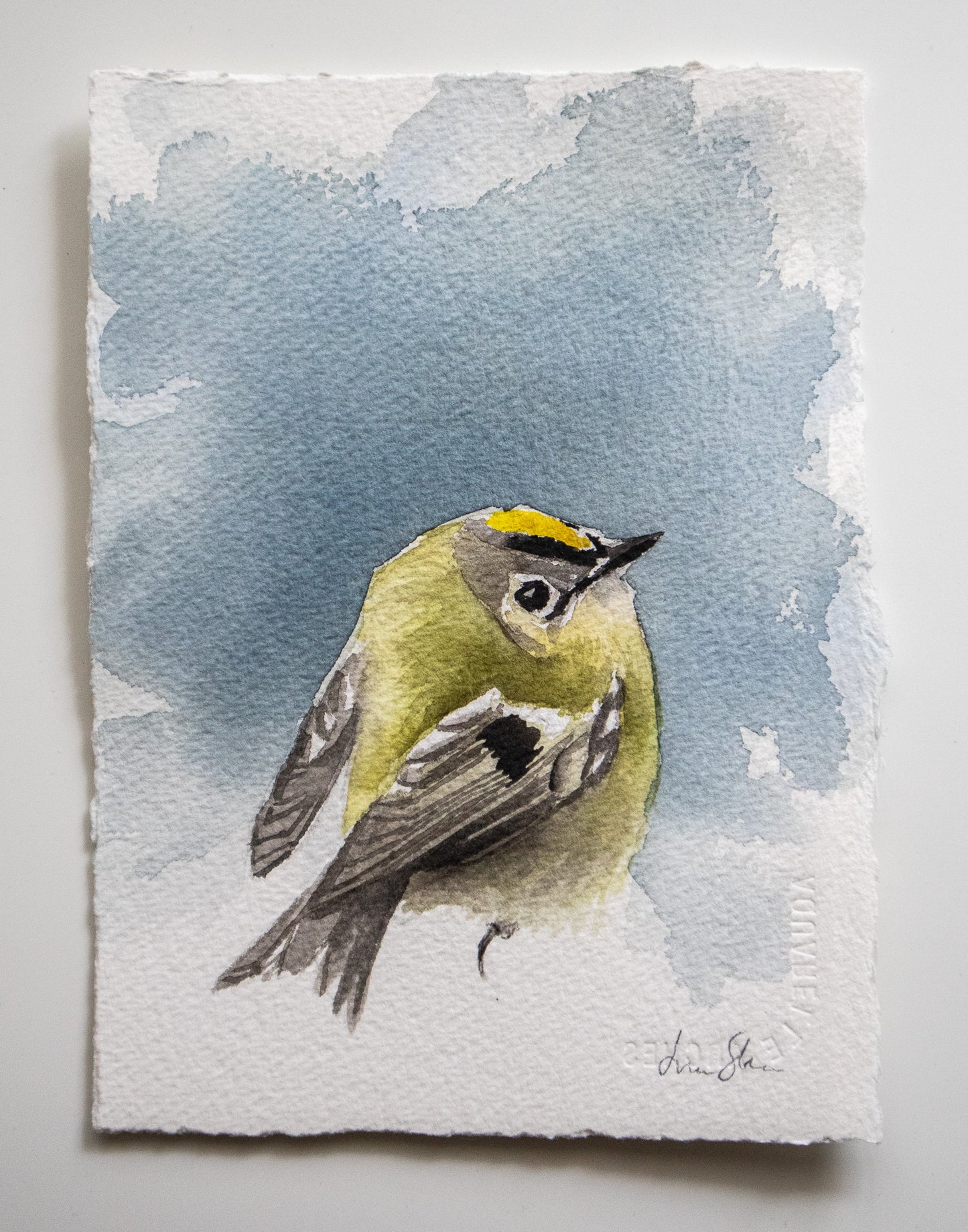 "Goldcrest" original watercolor painting