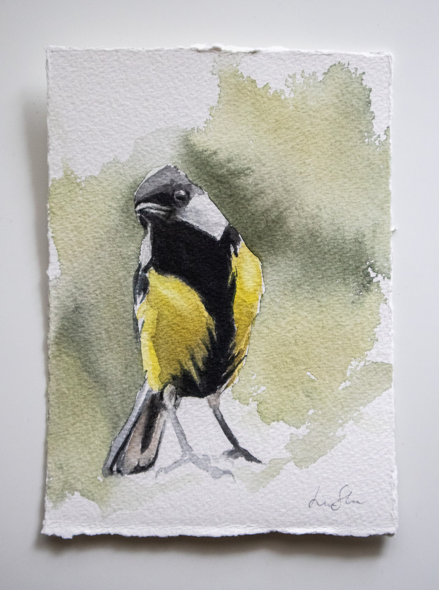 "Great Tit" original watercolor painting