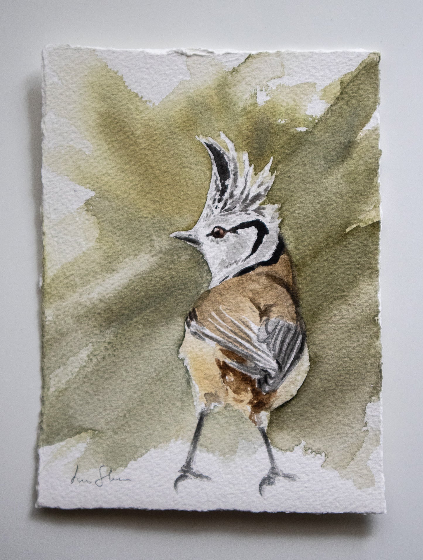 "Tofsmes" akvarellmålning