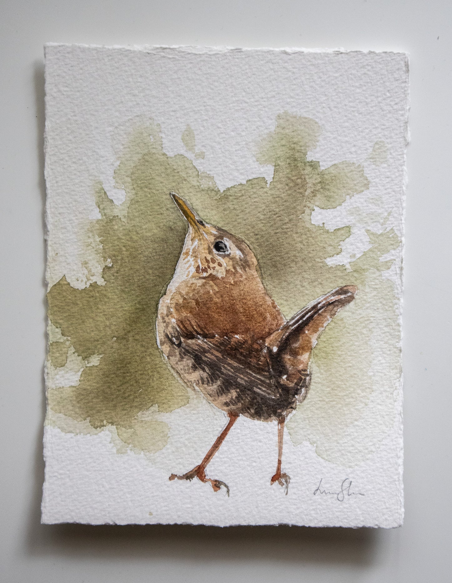 "Wren" original watercolor painting