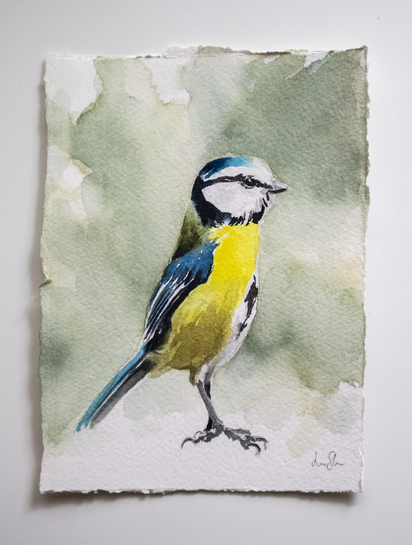 "Blåmes" akvarellmålning