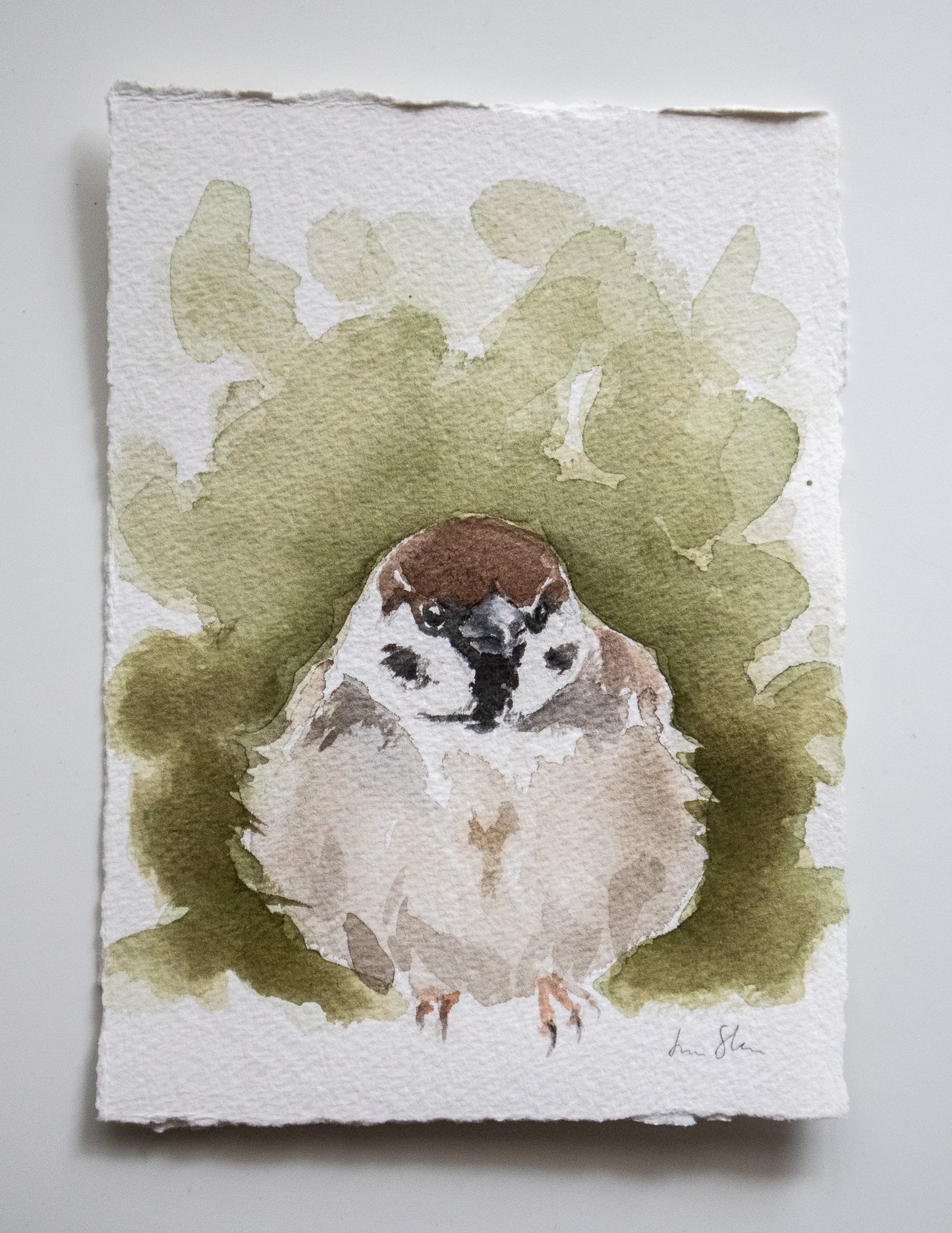 "Pilfink" akvarellmålning