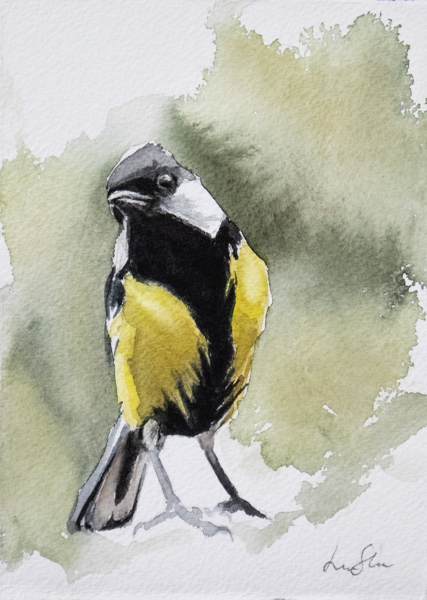"Great Tit" original watercolor painting