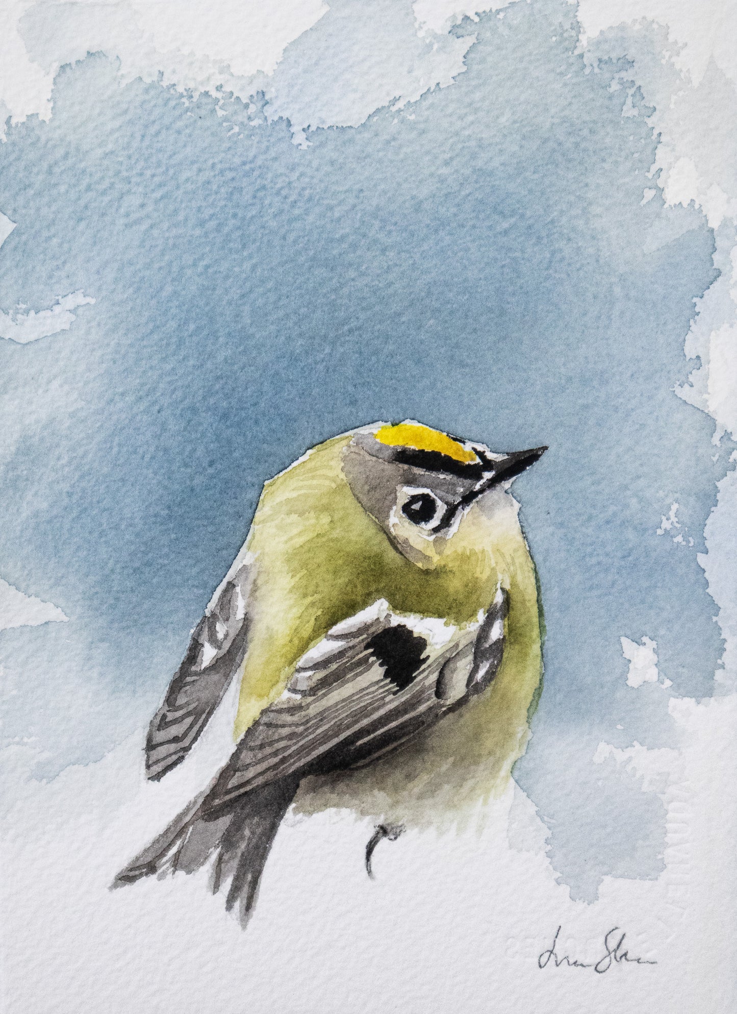 "Goldcrest" original watercolor painting