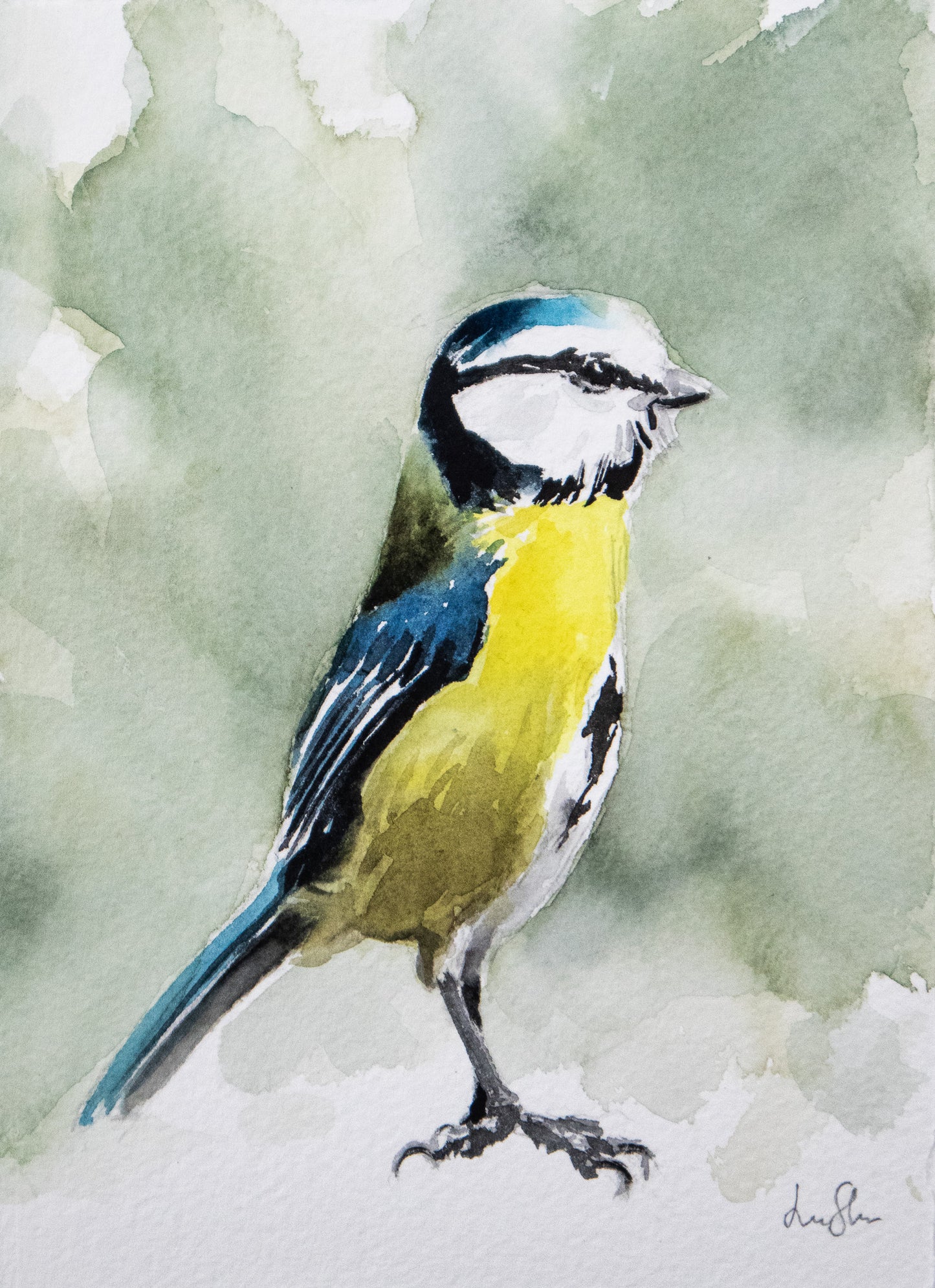 "Blåmes" akvarellmålning