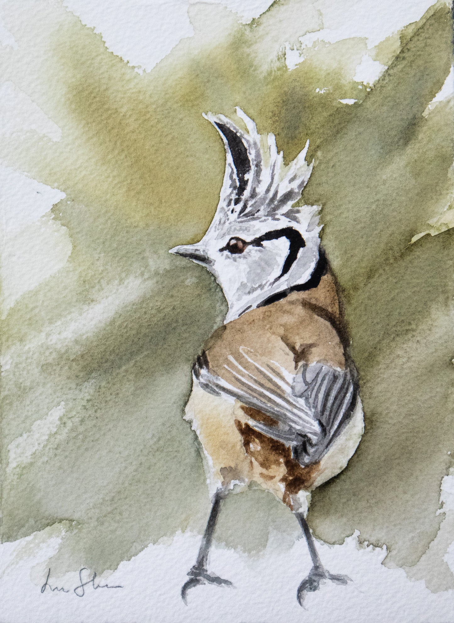 "Tofsmes" akvarellmålning