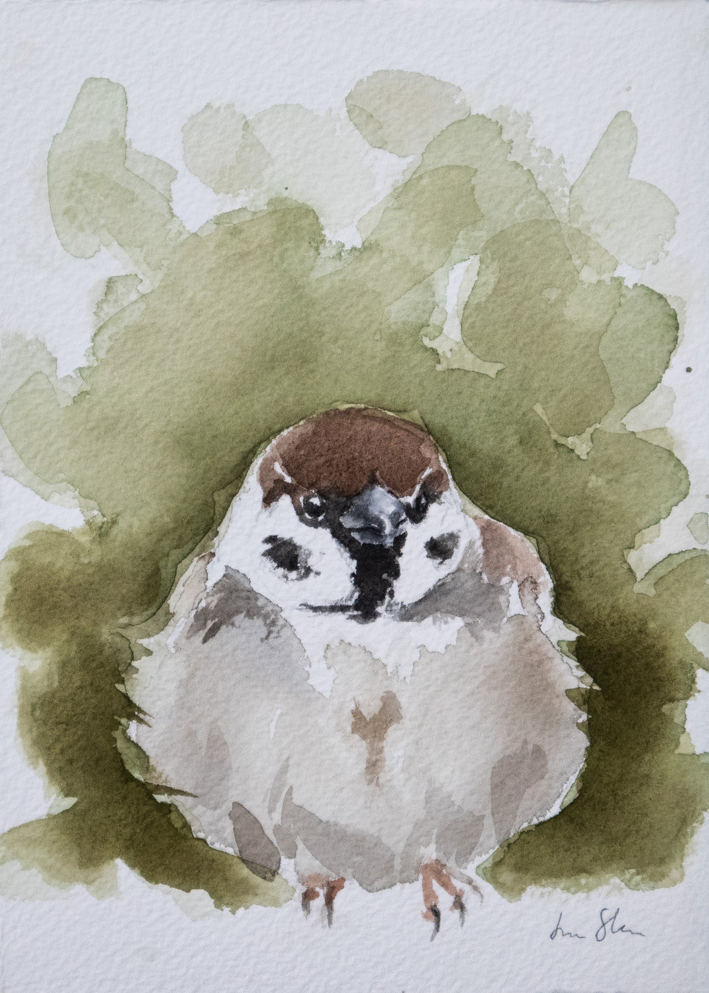 "Pilfink" akvarellmålning