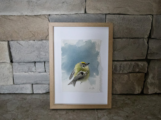 "Kungsfågel" akvarellmålning