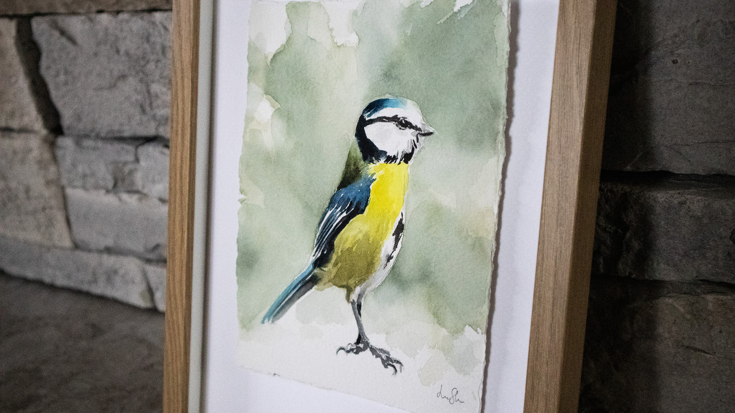 "Blåmes" akvarellmålning