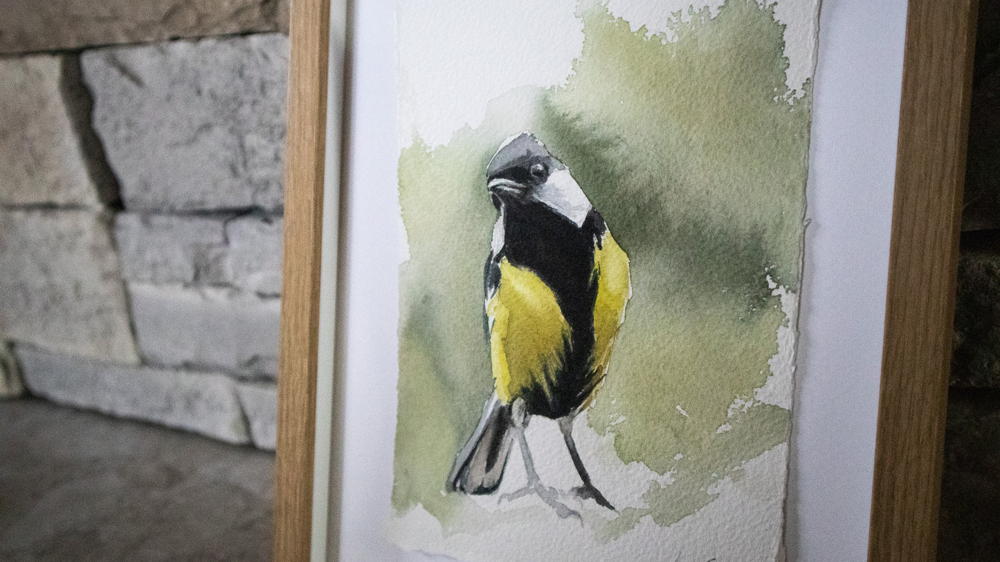 "Great Tit" original watercolor painting