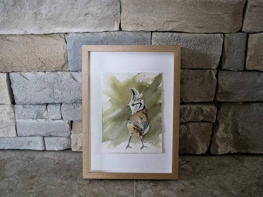 "Tofsmes" akvarellmålning