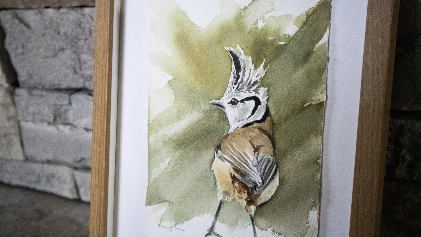 "Tofsmes" akvarellmålning