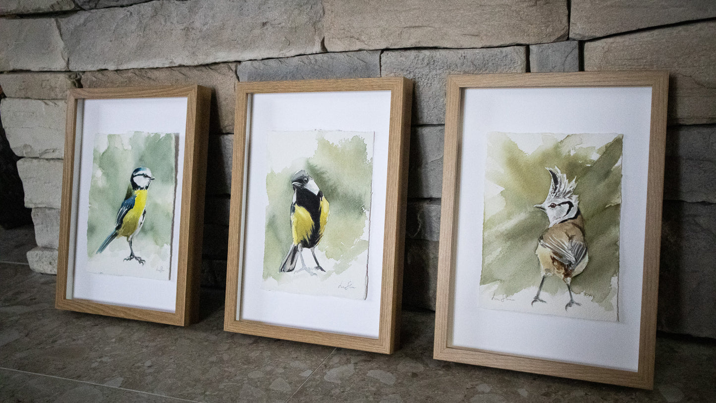 "Great Tit" original watercolor painting