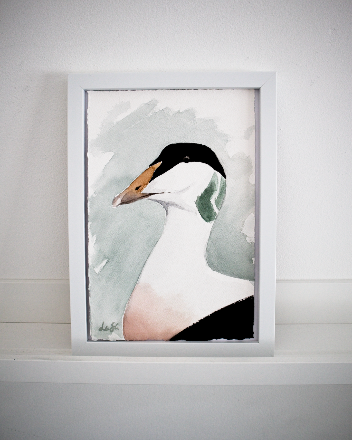 "Eider" original watercolor painting
