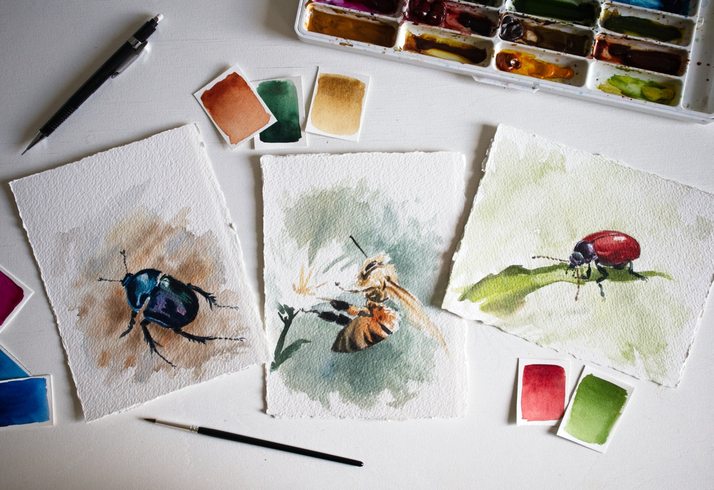 Watercolor Insect Illustration