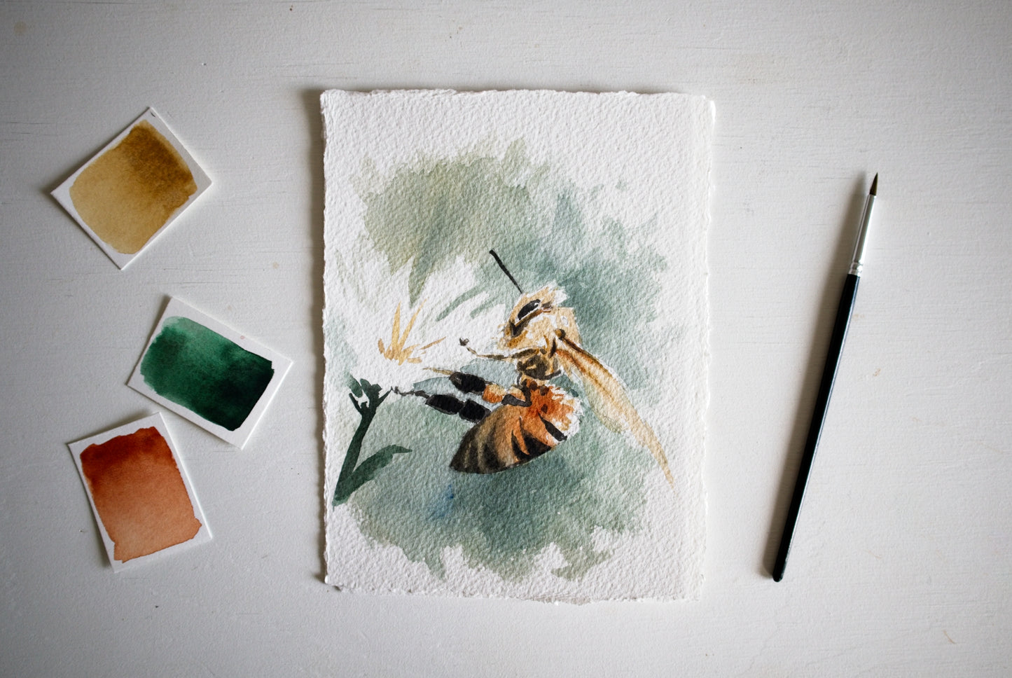 Watercolor Insect Illustration