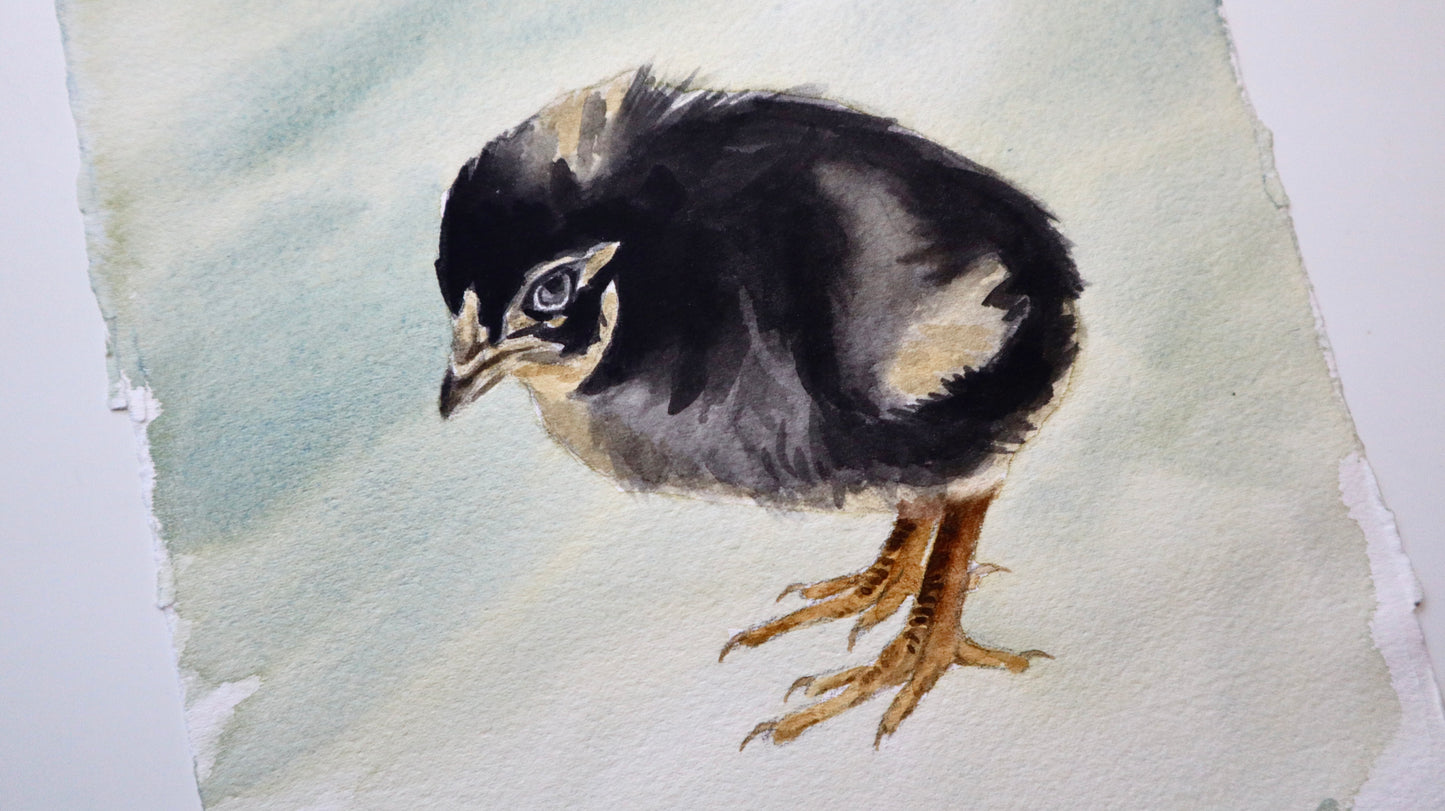 "Newly hatched" original watercolor painting