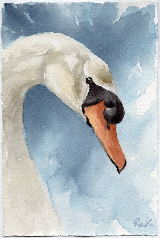 "Mute Swan" original watercolor painting