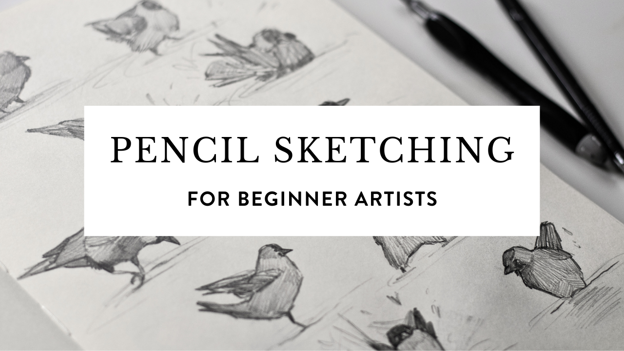 Pencil Sketching for Beginner Artists – Louise Stigell