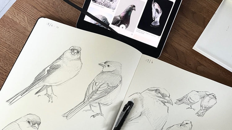 Pencil Sketching for Beginner Artists – Louise Stigell