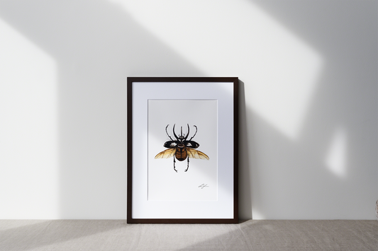 "Atlas beetle" fine art print