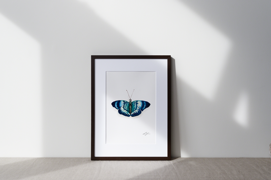 "Butterfly" fine art print