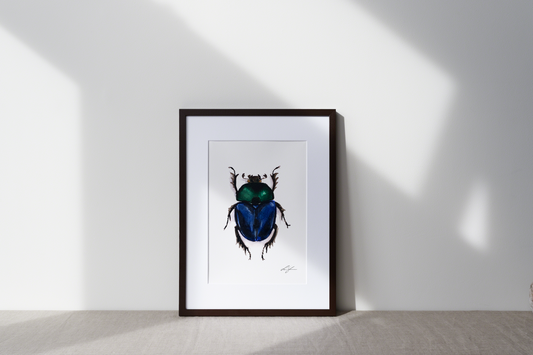 "Dungbeetle" fine art print