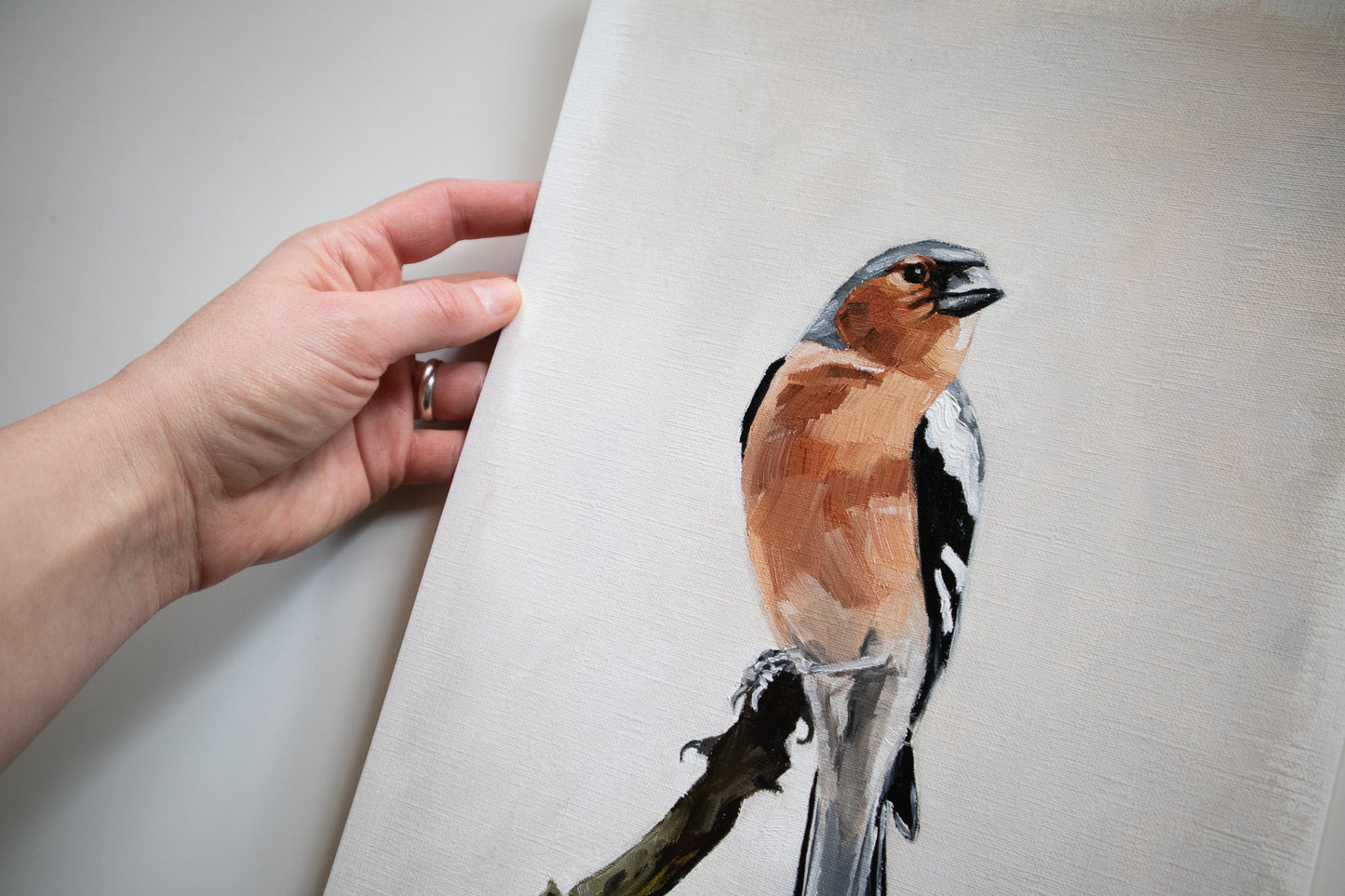 "Chaffinch" oil study on paper 24x33cm