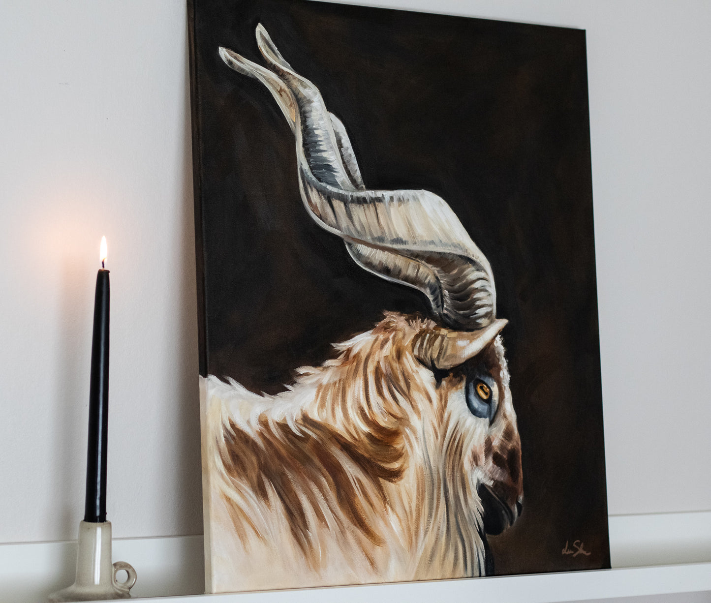 "Markhor goat" original oil painting 50x60cm