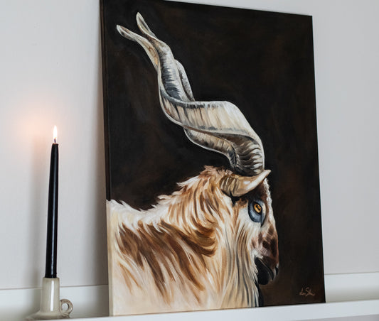 "Markhor goat" original oil painting 50x60cm