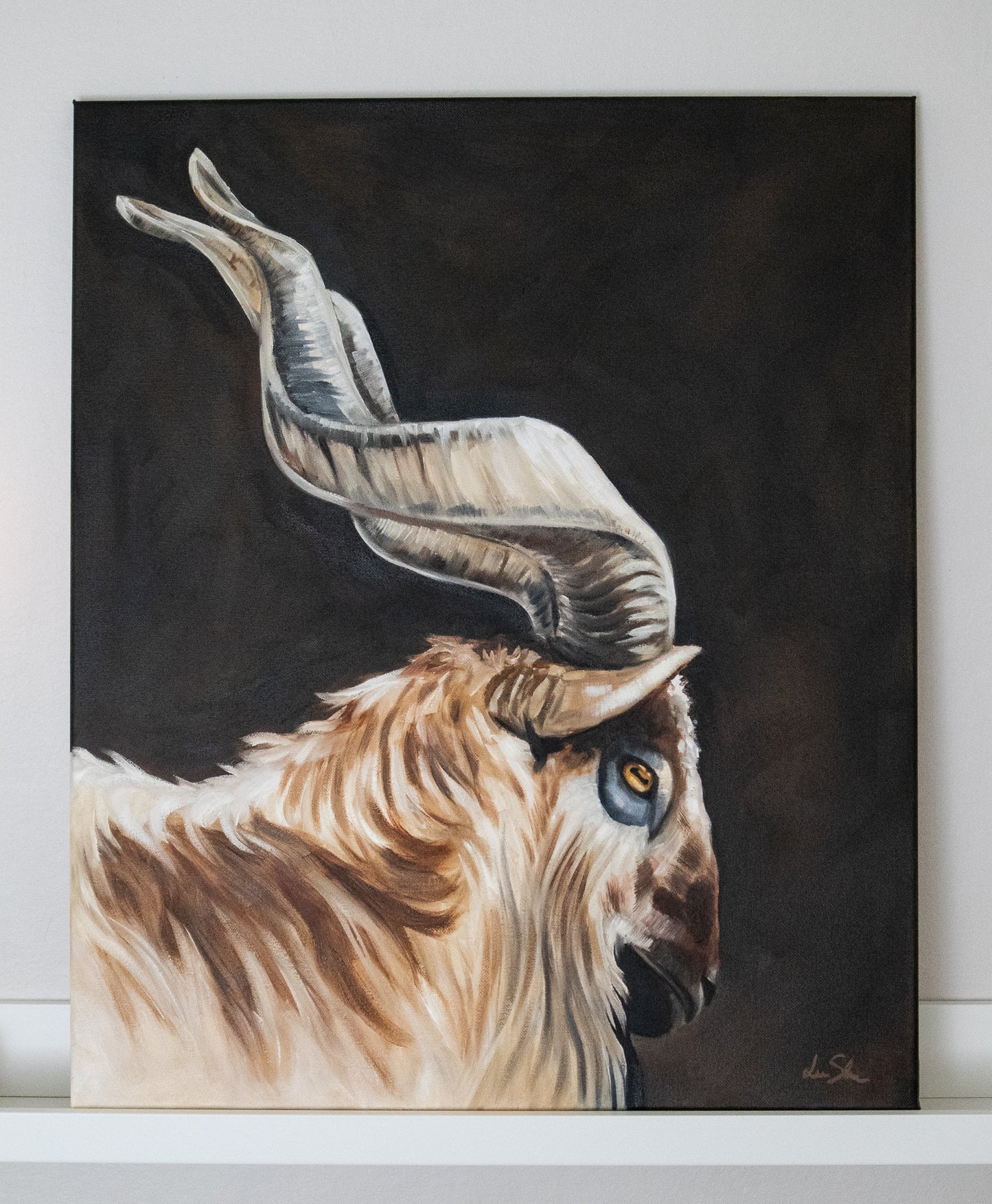 "Markhor goat" original oil painting 50x60cm