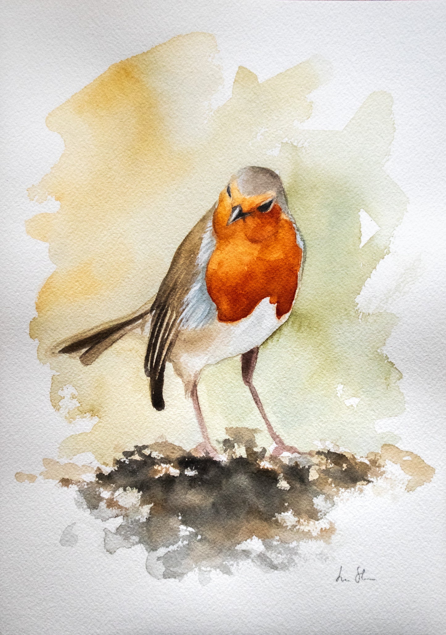 "Robin in the morning" original watercolor painting 21 x 30 cm