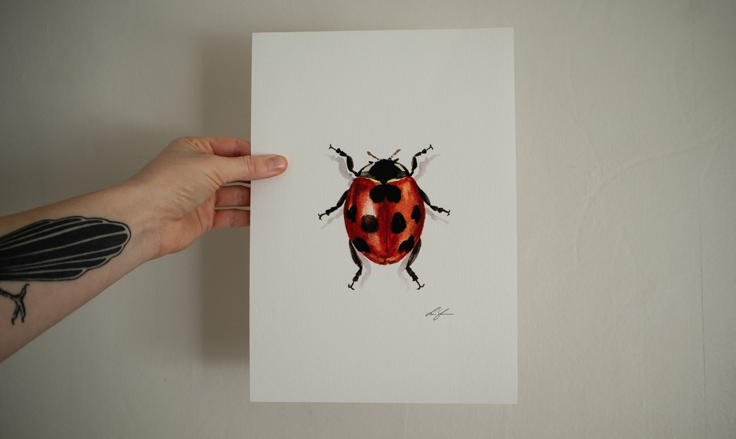 "Ladybug" fine art print