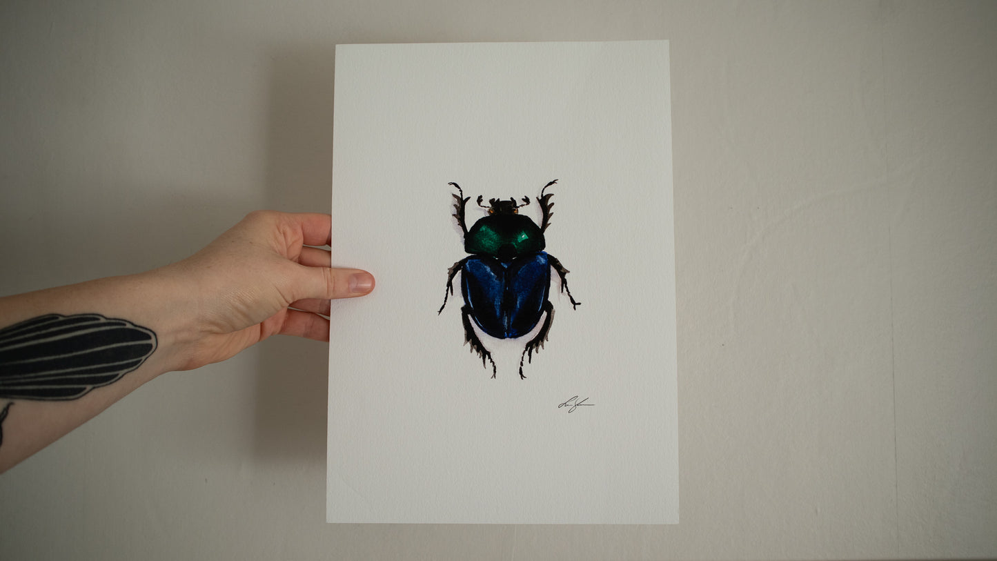 "Dungbeetle" fine art print