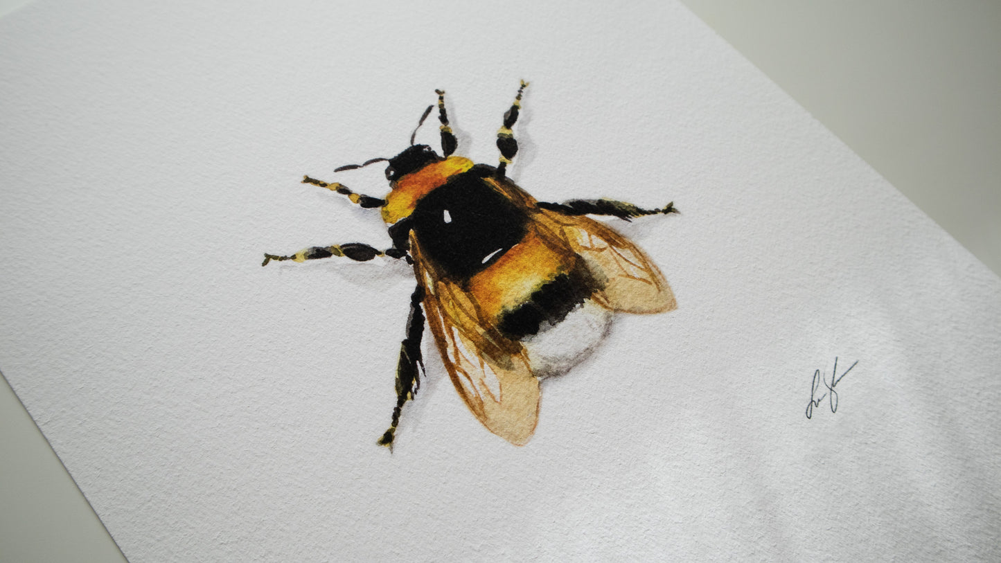 "Bumble bee" fine art print