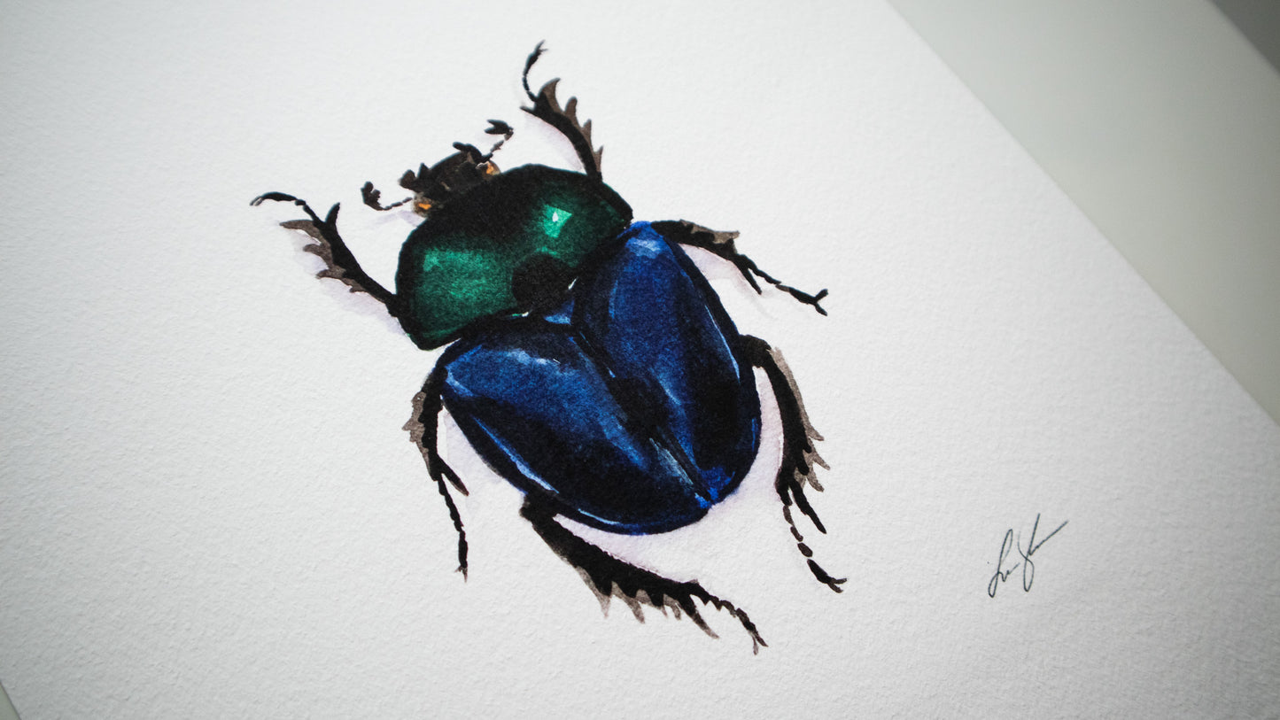 "Dungbeetle" fine art print