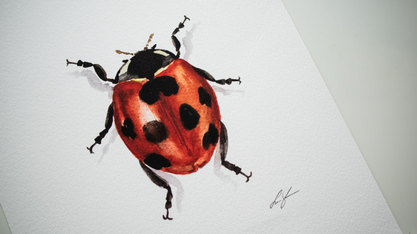 "Ladybug" fine art print