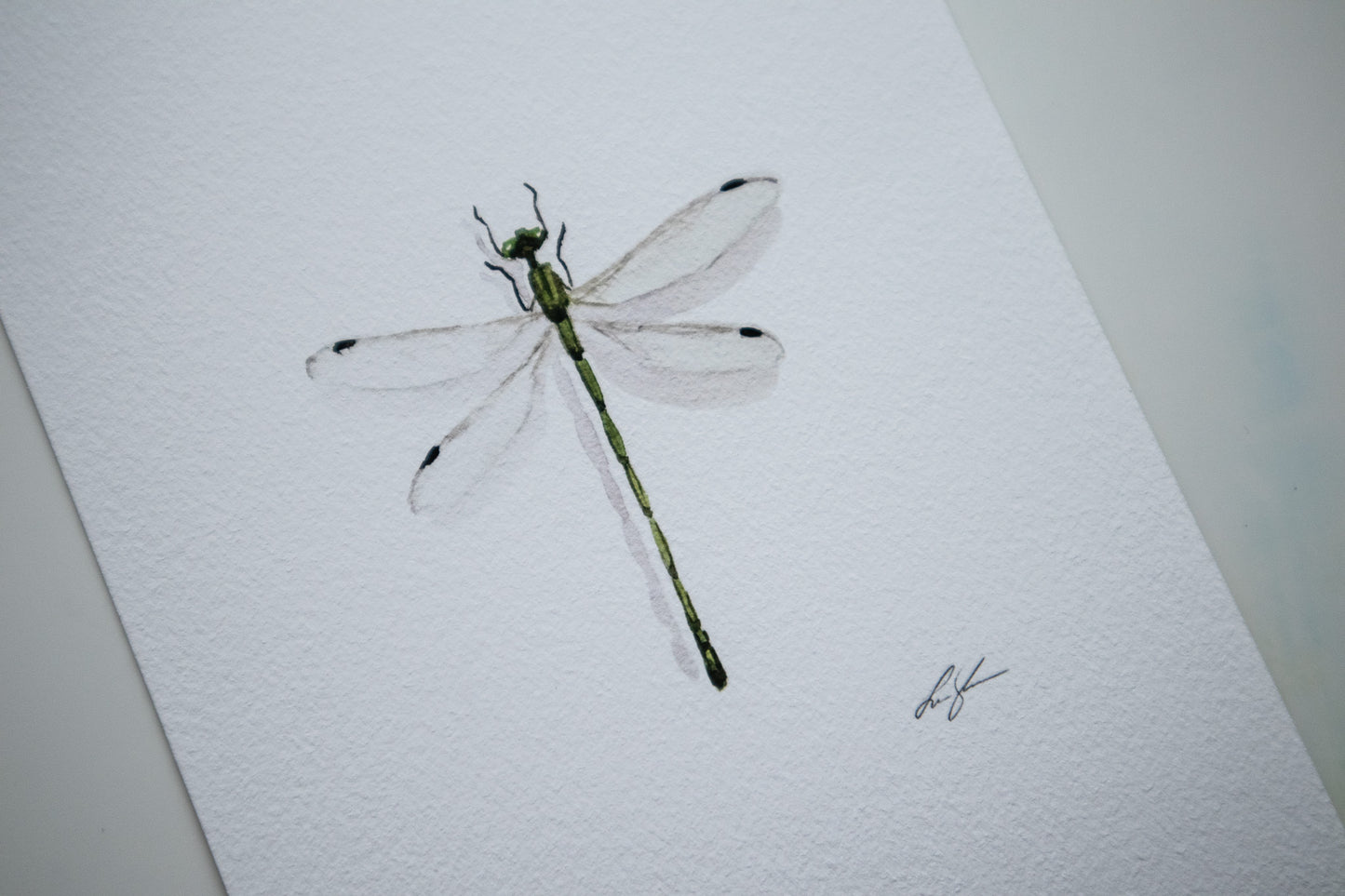 "Damselfly" fine art print