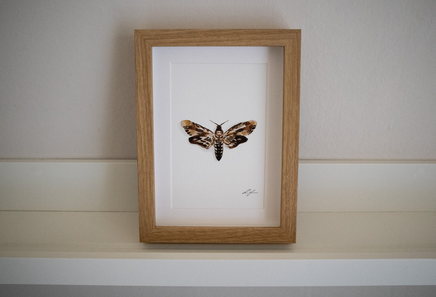 "Death's-head hawkmoth" fine art print