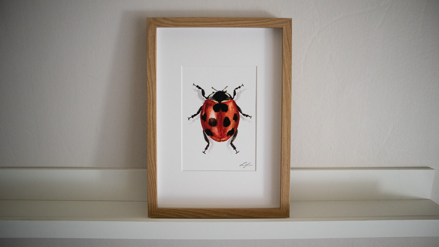 "Ladybug" fine art print