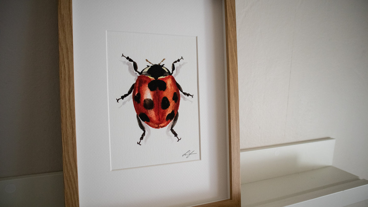 "Ladybug" fine art print