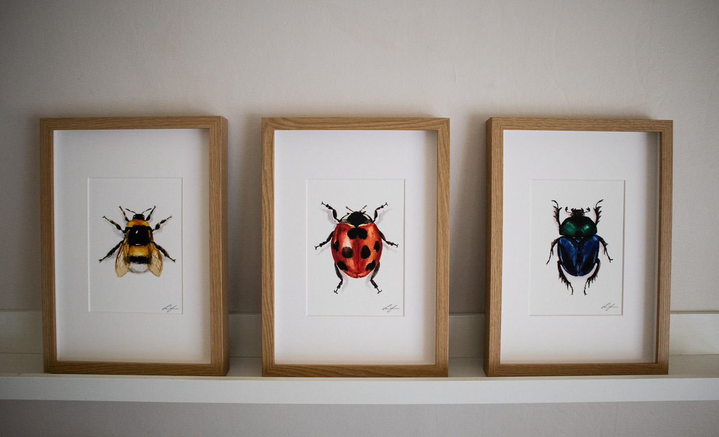 "Ladybug" fine art print