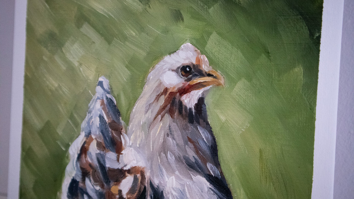 "Hen" oil study on paper 19x25cm