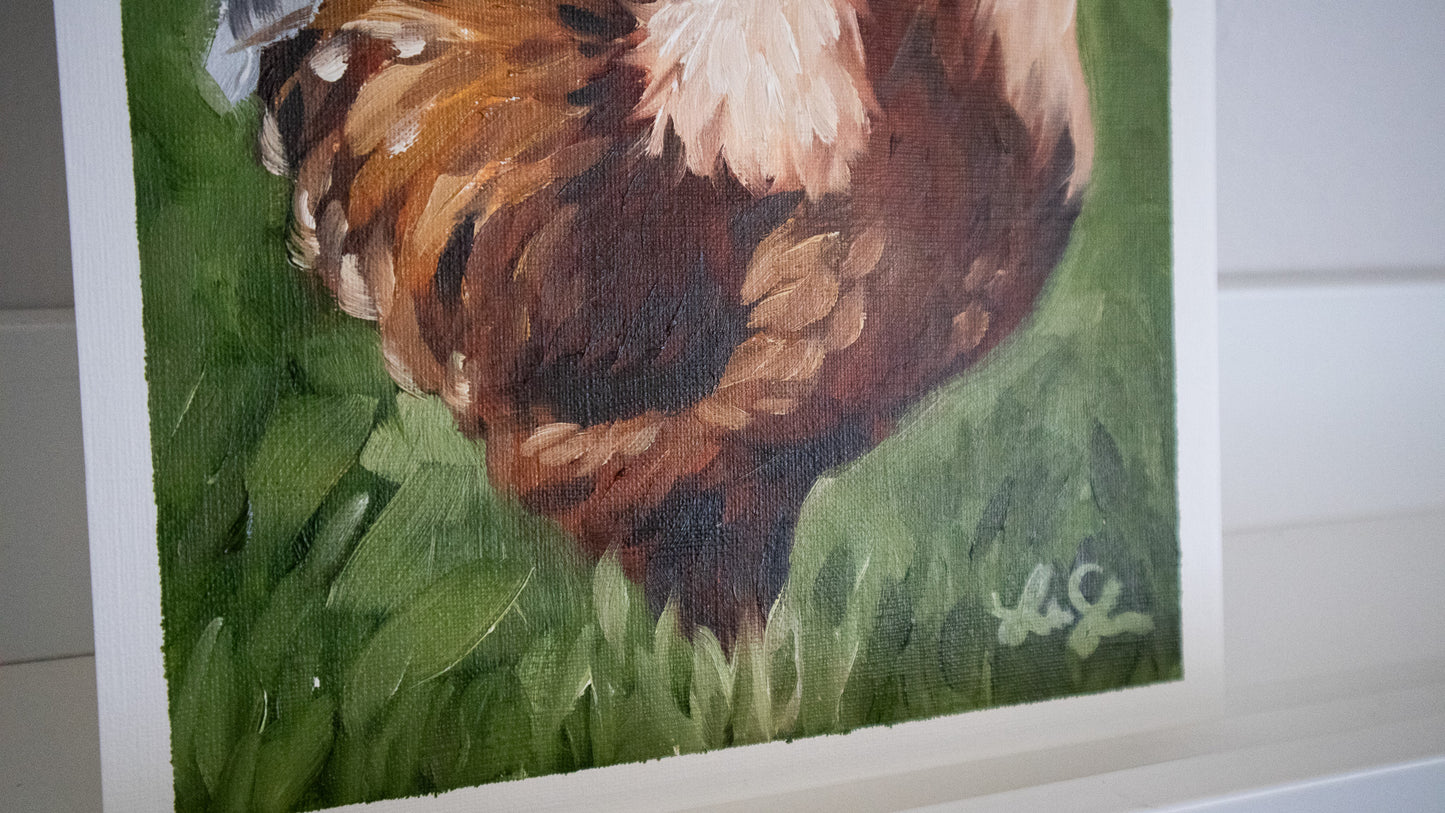 "Rooster" oil study on paper 19x25cm