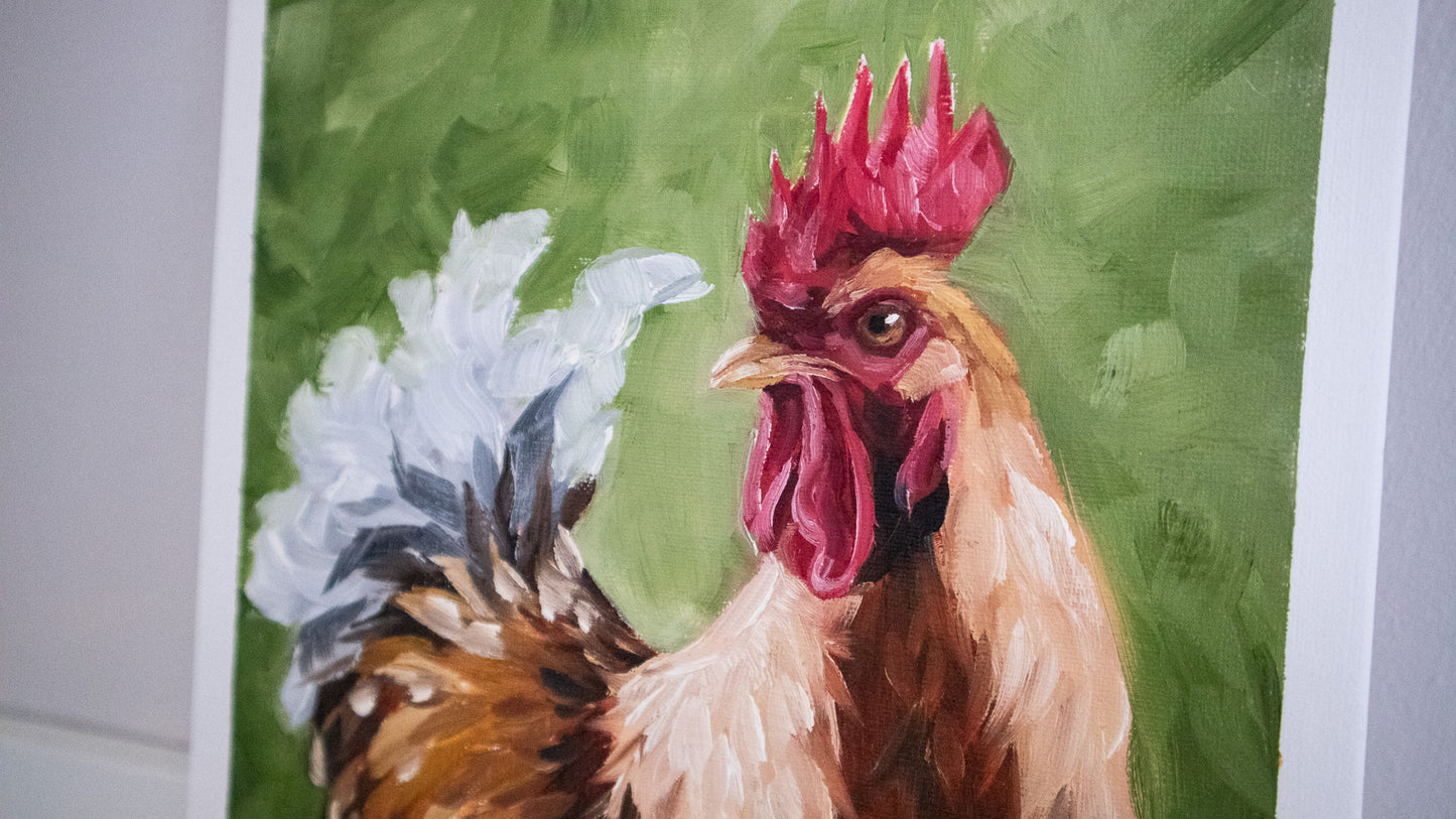 "Rooster" oil study on paper 19x25cm