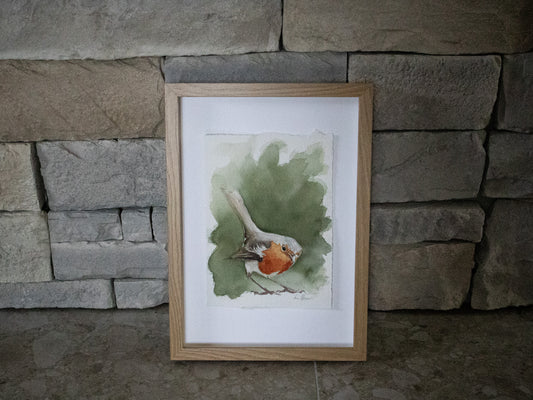 "Rödhake" akvarellmålning